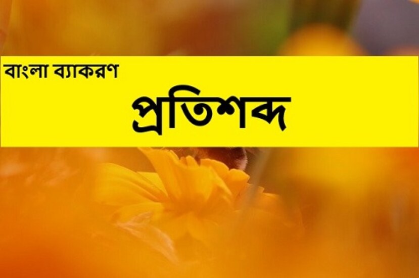 বাংলা ব্যাকরণ : প্রতিশব্দ