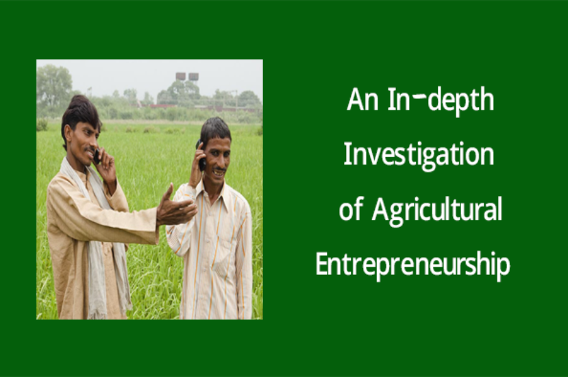 An In-depth Investigation of Agricultural Entrepreneurship