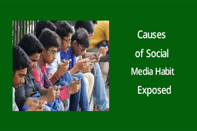 Causes of Social Media Habit Exposed