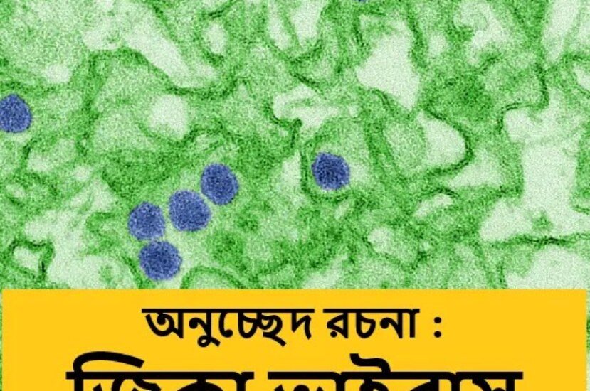 অনুচ্ছেদ রচনা : জিকা ভাইরাস