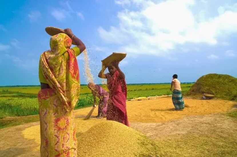 বাংলাদেশের উৎসব রচনা