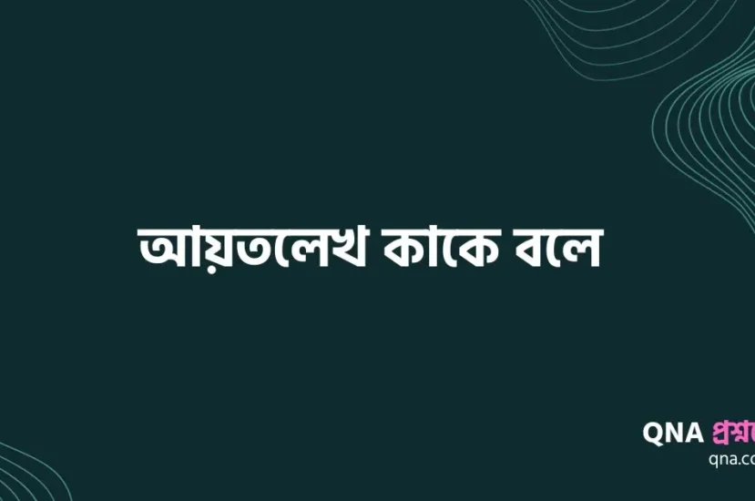 আয়তলেখ কাকে বলে | আয়তলেখর সুবিধা ও অসুবিধা