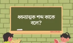 ধ্বন্যাত্মক শব্দ কাকে বলে? বাংলা ভাষায় এর প্রয়োজনীয়তা আলোচনা কর