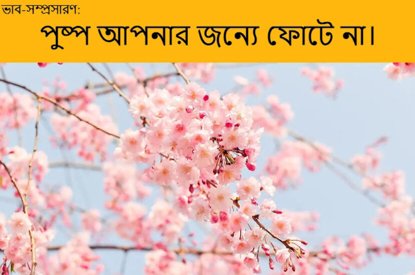 ভাব-সম্প্রসারণ : পুষ্প আপনার জন্যে ফোটে না