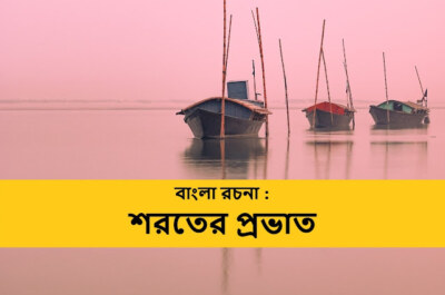 বাংলা রচনা : শরতের প্রভাত