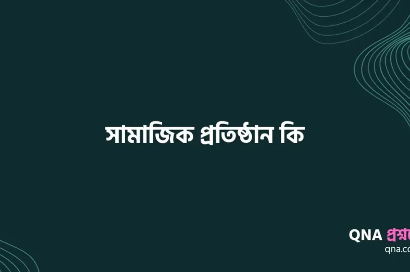 সামাজিক প্রতিষ্ঠান কি