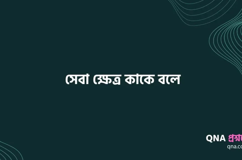 সেবা ক্ষেত্র কাকে বলে