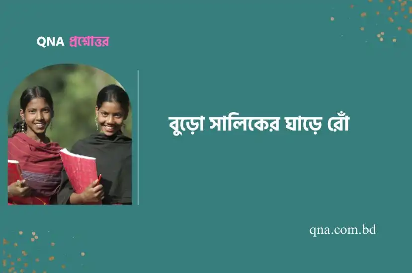 বুড়ো সালিকের ঘাড়ে রোঁ প্রহসনের মূল বিষয় সংক্ষেপে লিখ।