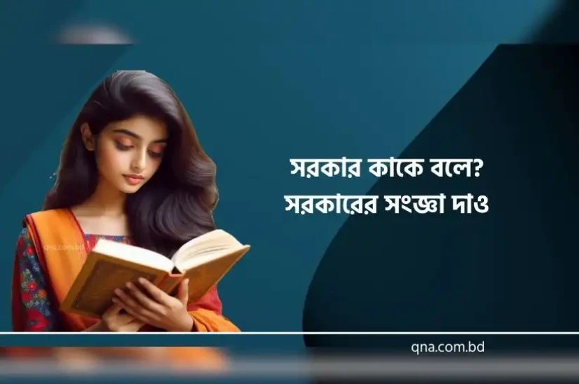 সরকারের সংজ্ঞা দাও