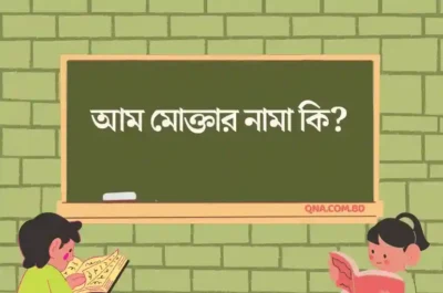 আম মোক্তার নামা কি?