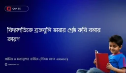 বিদ্যাপতিকে ব্রজবুলি ভাষার শ্রেষ্ঠ কবি বলার কারণ ব্যাখ্যা করে বুঝিয়ে দাও